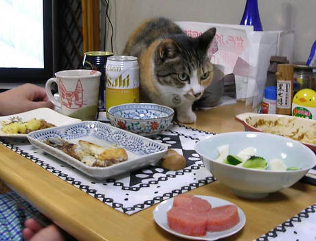 DSCN5651.jpg