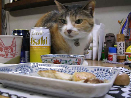 DSCN5653.jpg