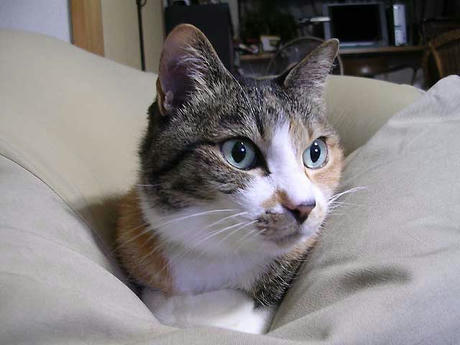 DSCN5656.jpg
