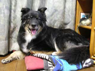 DSCN5640.jpg