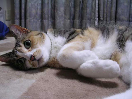 DSCN5626.jpg