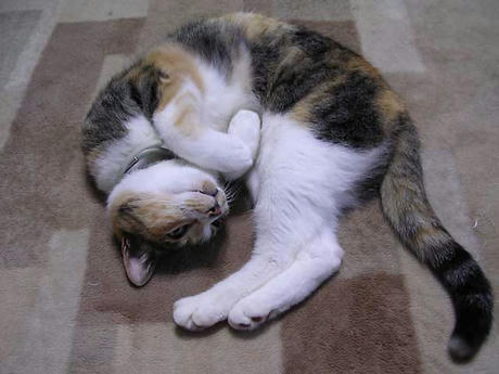 DSCN5633.jpg