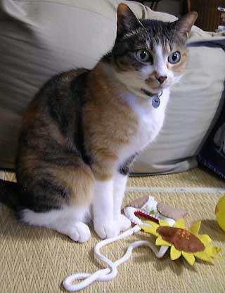 DSCN5680.jpg