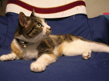 DSCN5707.jpg