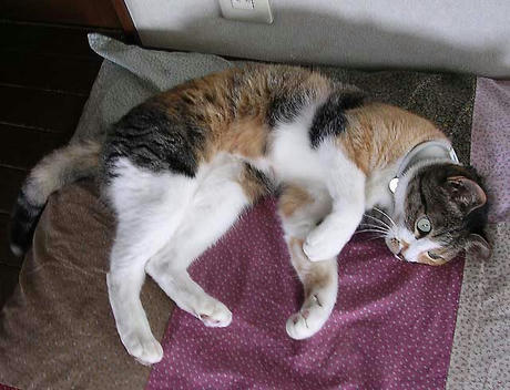 DSCN5716.jpg
