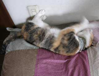 DSCN5717.jpg