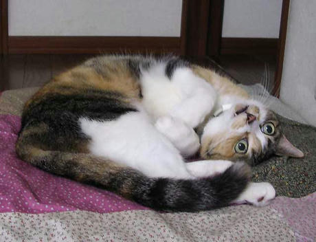 DSCN5722.jpg