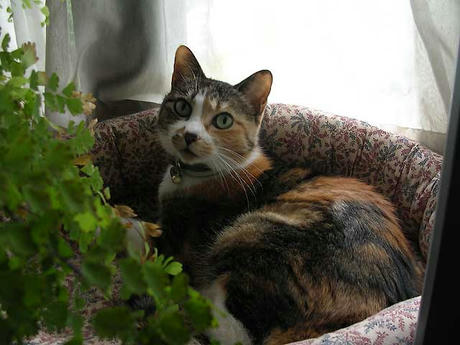 DSCN5726.jpg