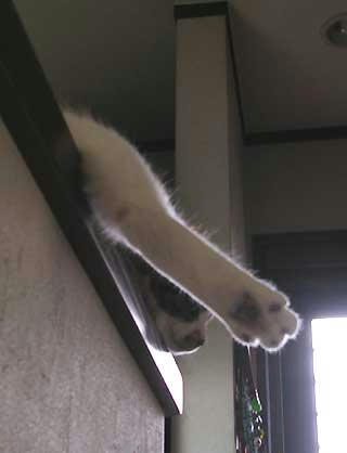 DSCN5778.jpg