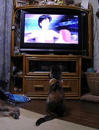 DSCN5789.jpg