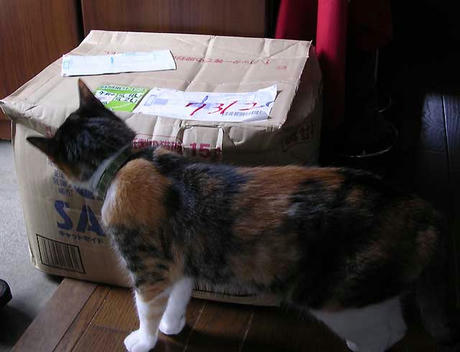 DSCN5792.jpg