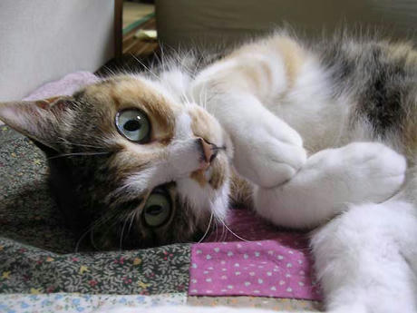 DSCN5767.jpg