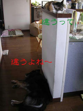 DSCN5802.jpg