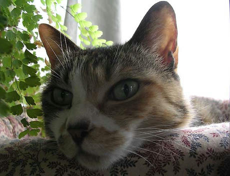 DSCN5787.jpg