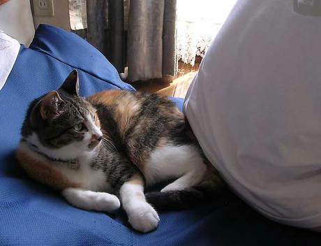 DSCN5803.jpg