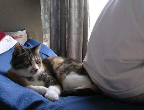 DSCN5804.jpg