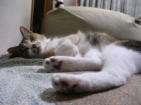 DSCN5765.jpg