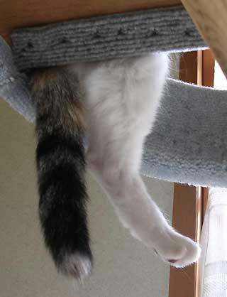 DSCN5867.jpg