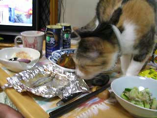 DSCN5885.jpg