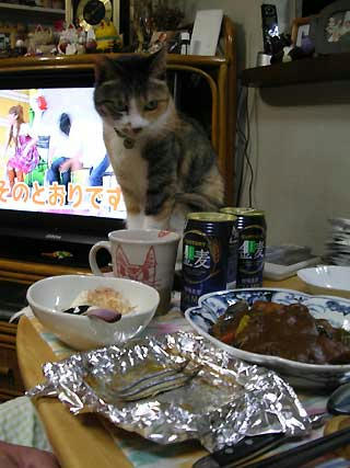 DSCN5886.jpg