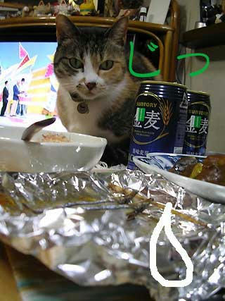 DSCN5888.jpg
