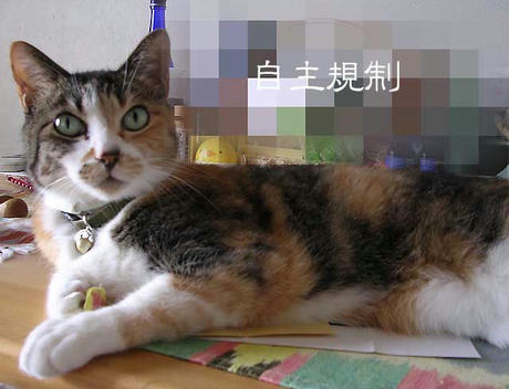 DSCN5796.jpg