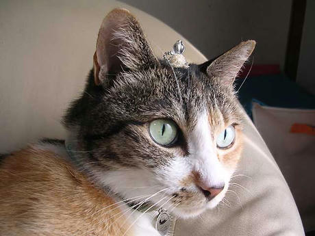 DSCN5877.jpg