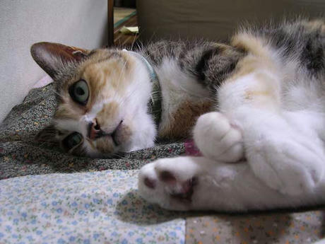 DSCN5768.jpg