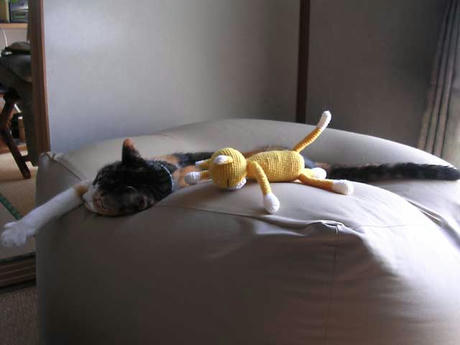 DSCN5914.jpg