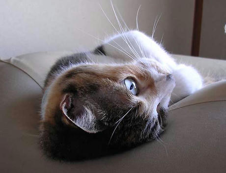 DSCN5918.jpg