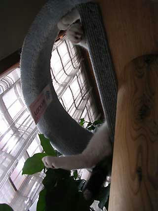 DSCN5892.jpg