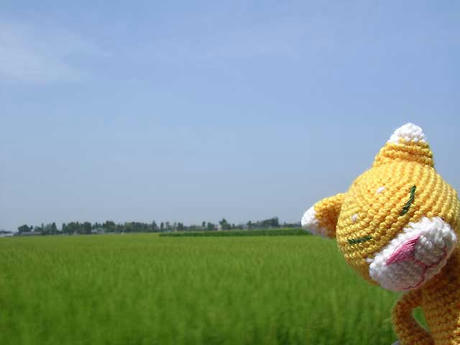 DSCN5987.jpg