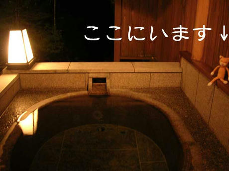 DSCN5958.jpg