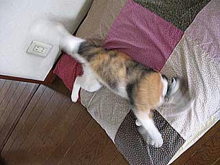 DSCN5813.jpg