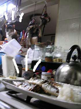 DSCN5993.jpg