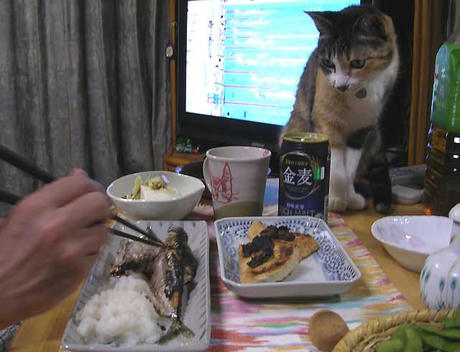 DSCN5995.jpg