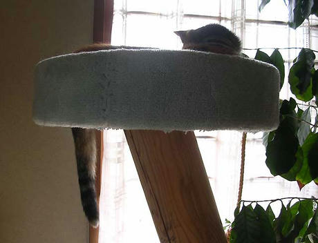 DSCN5999.jpg