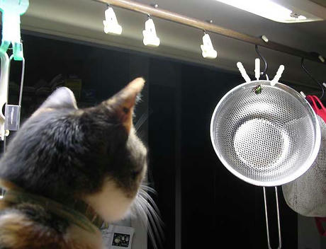 DSCN6008.jpg
