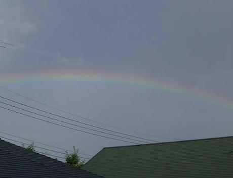 DSCN6016.jpg