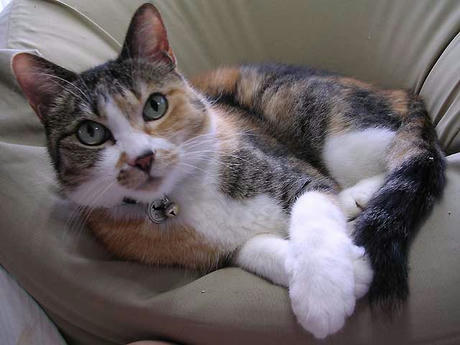 DSCN5837.jpg
