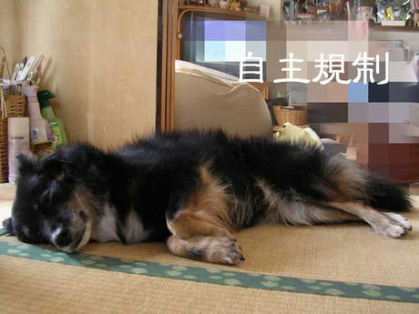 DSCN6004.jpg