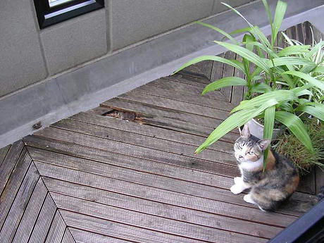 DSCN6018.jpg