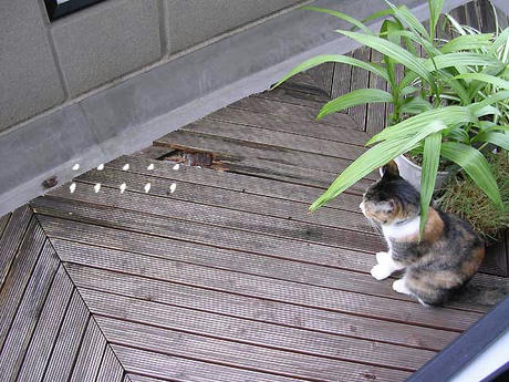 DSCN6019.jpg