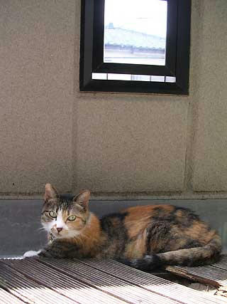 DSCN6057.jpg
