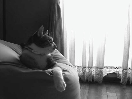 DSCN6059.jpg