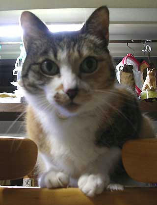 DSCN6097.jpg