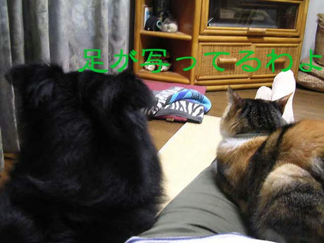 DSCN6099.jpg