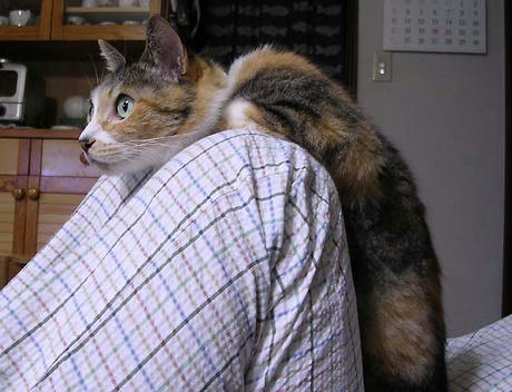 DSCN6084.jpg