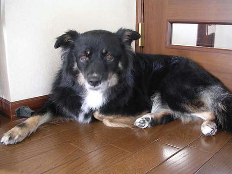 DSCN6102.jpg
