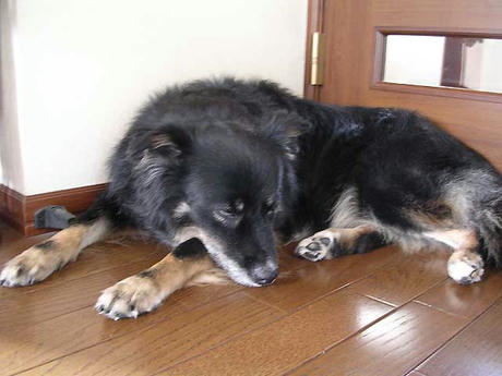 DSCN6103.jpg